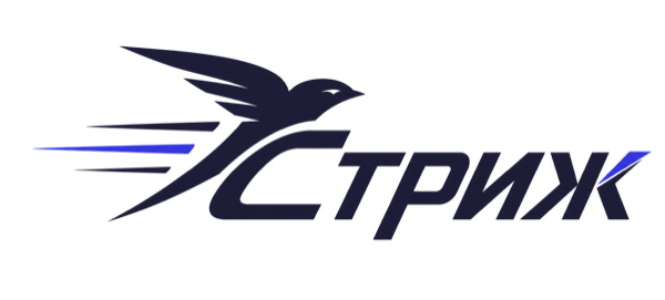 Стриж